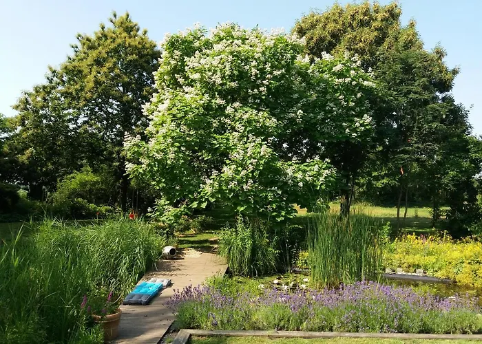 Weeze Appartamento Hau